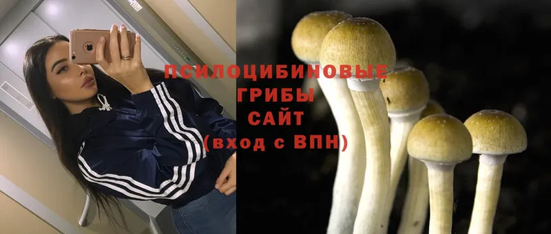 hydra tor  Инсар  Галлюциногенные грибы Magic Shrooms 